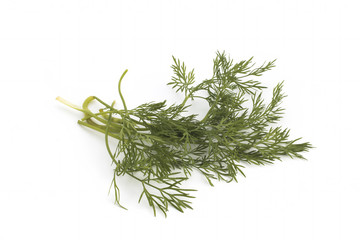 bunch fresh, green dill on a white background