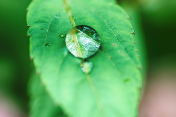 After The Rain