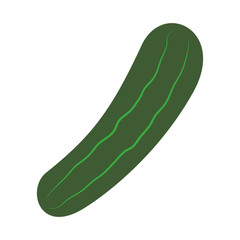 Cucumber fresh vegetable icon vector illustration graphic design