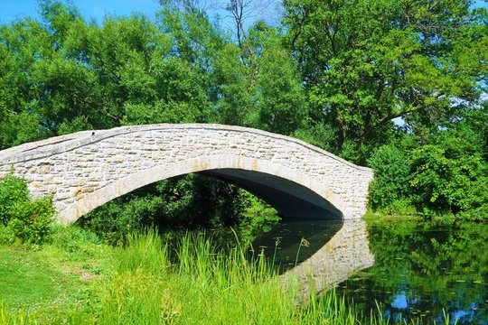 Foot Bridge In Summer