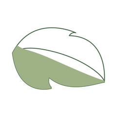 Leaf ecology symbol icon vector illustration graphic design