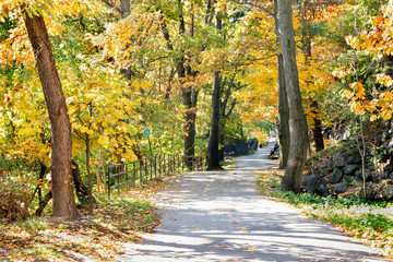 Fototapeta premium Fall at Highridge Park in New York City