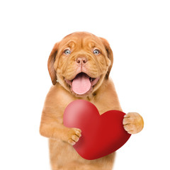 Obraz premium Puppy with red heart. isolated on white background