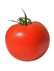 Duży czerwony pomidor na białym tle - obrazy, fototapety, plakaty