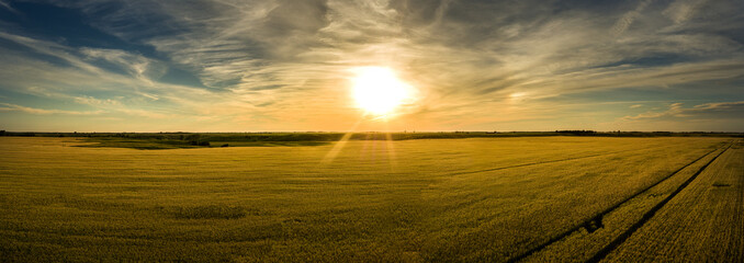 Midwest Crop Land Sunset Panoramic