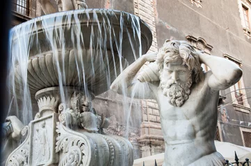 Photo sur Plexiglas Fontaine Landmarks of Catania, Sicily: closeup view of the Amenano fountain by the main Dome Square