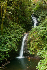 Small waterfall in monteverde cloud forest reserve