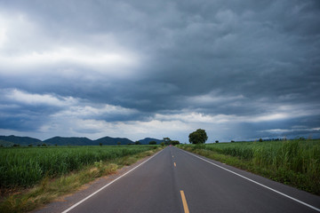 Fototapeta premium The sky before the storm on Paved asphalt road