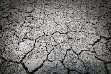 dry cracked ground for background and design