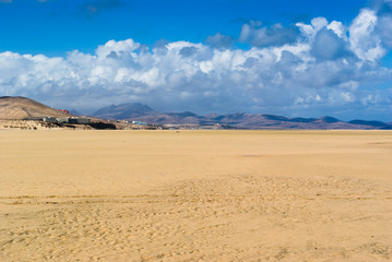 Fototapeta na wymiar Southern Fuertevetura, beach of Sotavento. Fuerteventura. Canary Islands. Spain