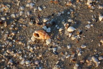  A sink in the sand
