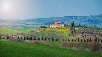 Tuscany and green field in summer season.