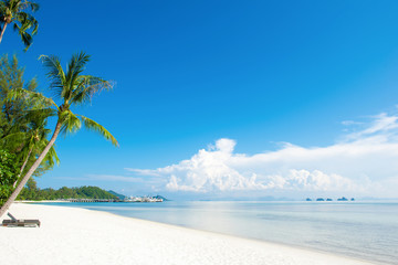 Beautiful white sand beach with coconut palm trees