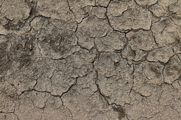 Cracked dried black dirt background texture 