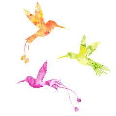 watercolor hummingbird silhouettes