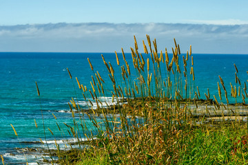 All shades of blue of the Pacific ocean.