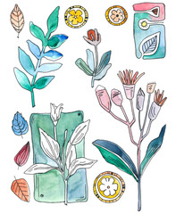 акварельная иллюстрация с изображением растений, листьев, травы и цветов