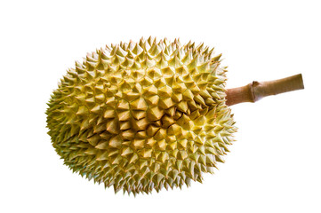 Durian on white background.