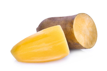 smallanthus sonchifolius (yacon),snow lotus isolated on white background