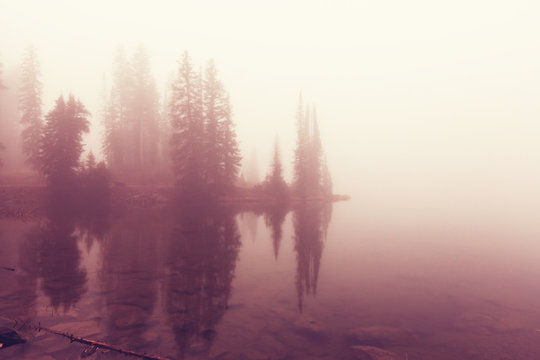 Fog on the lake