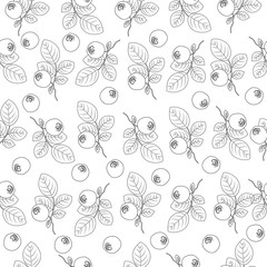 Blueberry, Seamless vector pattern berry, decorative background, hand drawn texture for design cosmetic, wallpaper, textiles, greeting card, wedding invitation, harvest festival, fabric, organic food
