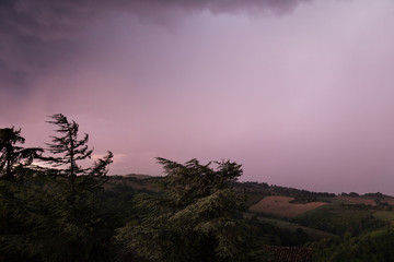 Violet sky on a stormy day, natural scene with pine trees in the foreground