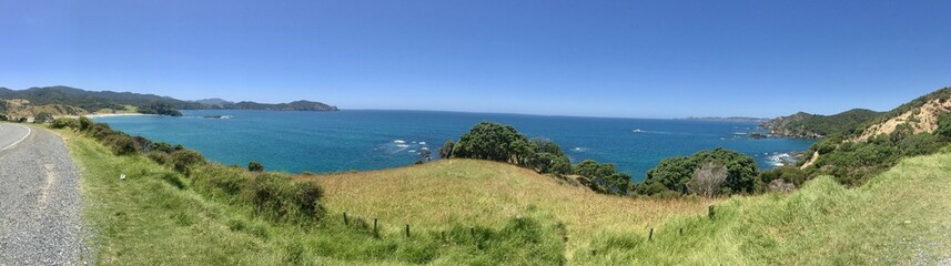 nz pano