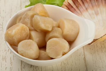 Raw scallops heap