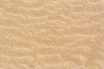 Sand texture top view