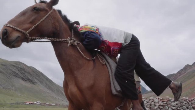 Peruvian muleteer mounts horse wearing the typical costume of the highlands. Slow motion	