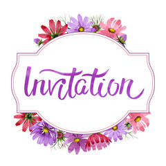 Wildflower kosmeya flower frame in a watercolor style isolated.