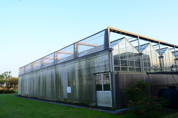 Plant hut/ Green house 