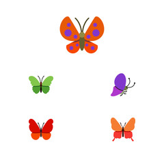 Obraz na płótnie Canvas Flat Icon Butterfly Set Of Danaus Plexippus, Summer Insect, Moth And Other Vector Objects. Also Includes Milkweed, Monarch, Butterfly Elements.
