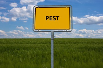 PEST - image with words associated with the topic EPIDEMIC, word cloud, cube, letter, image, illustration