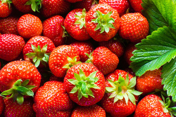 Fresh Strawberry Fruit as a Backdrop.