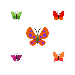 Fototapeta na wymiar Flat Icon Monarch Set Of Monarch, Milkweed, Danaus Plexippus And Other Vector Objects. Also Includes Butterfly, Archippus, Moth Elements.