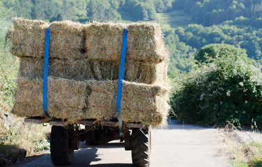 Tractor con pacas de hierba
