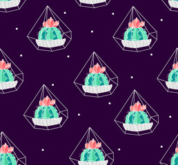 Seamless pattern polka dot with color cactus in florarium on black background. Ornament for textile and wrapping. Vector.