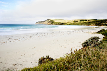 The Coast 11