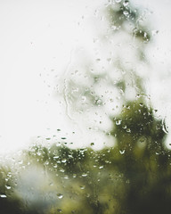 Regentropfen auf einem Fenster - 161811665