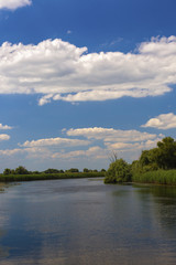 Landscape with water and vegetation in the Danube Delta, Romania