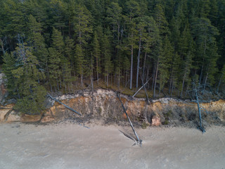 Seaside, Baltic sea. Sand and forest. Aerial view.
