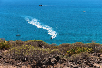 Summer Vibes in Tenerife