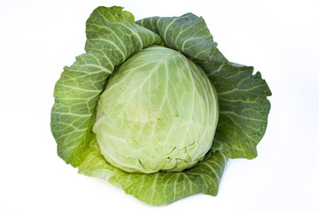 Fototapeta premium Cabbage isolated