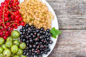 Summer fruits varieties: red currants, white currants and blackc