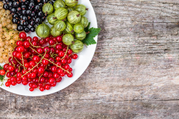 Summer fruits varieties: red currants, white currants and blackc