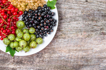 Summer fruits varieties: red currants, white currants and blackc
