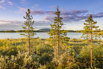 Naklejka premium Sunset on the lake in Northern Sweden.
