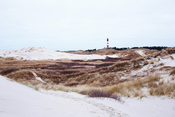 Amrum_7