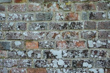 Lichen encrusted brick wall texture